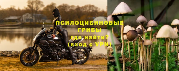 трава Алексин