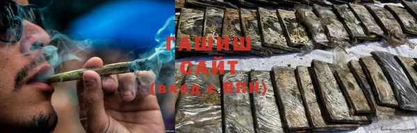 стаф Ельня