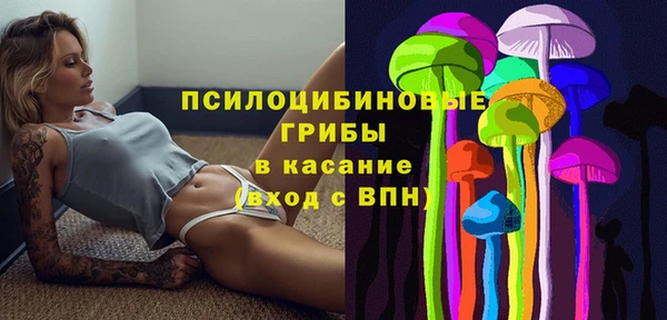 спиды Алексеевка