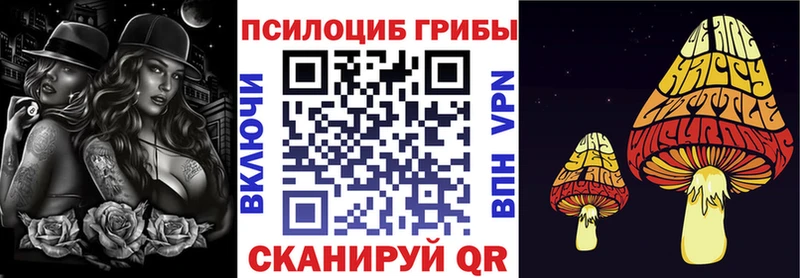 Галлюциногенные грибы мицелий  Куровское 